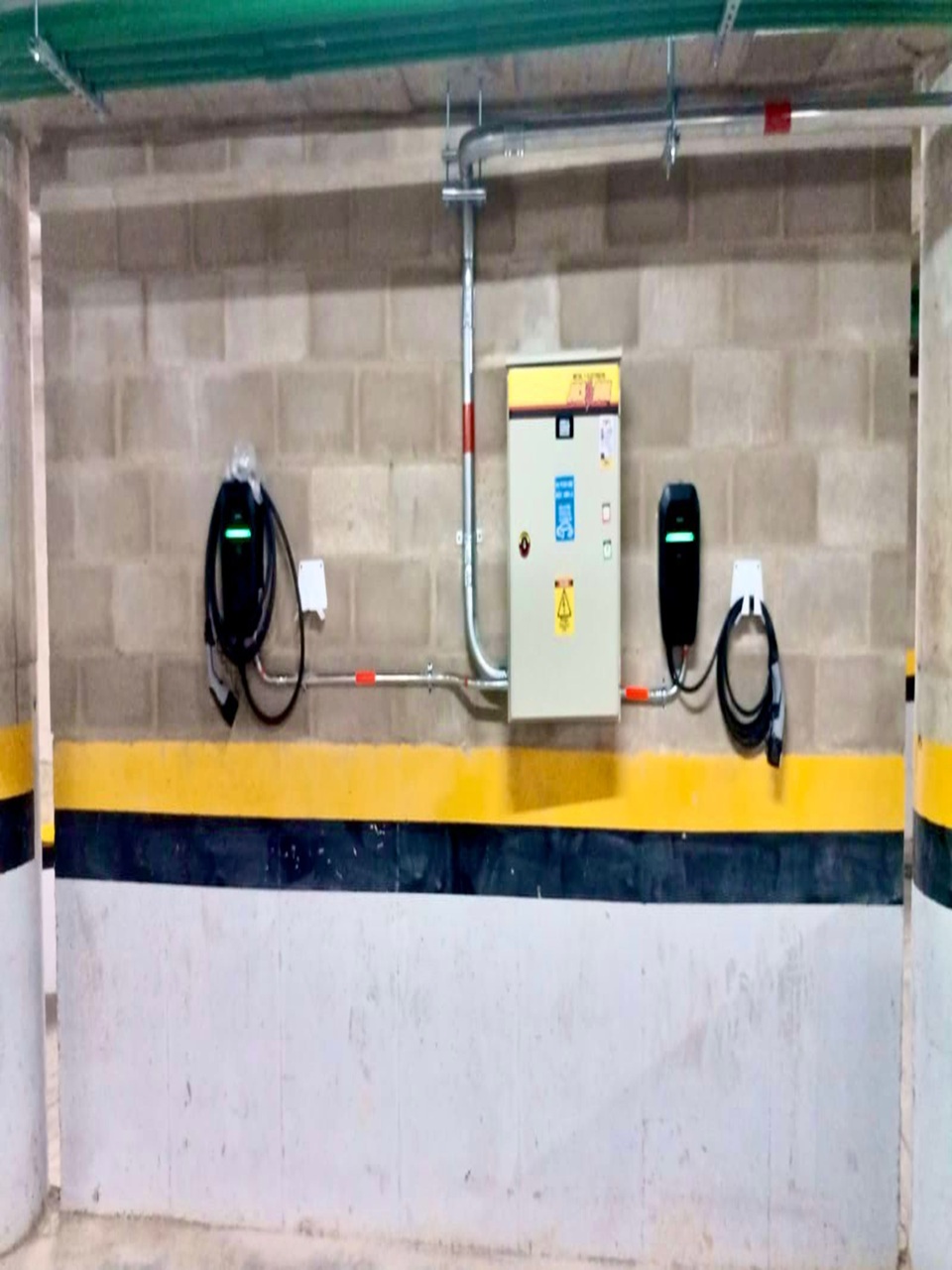 WhatsApp Image 2026-02-16 at 11.11.02